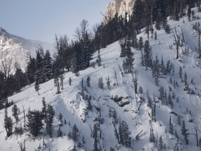 This large avalanche was spotted in the Sawtooth Mountains near Williams Peak. It failed on a NE-facing slope at 9,100'. It is unclear if its failure was associated with the ski tracks visible in the image.