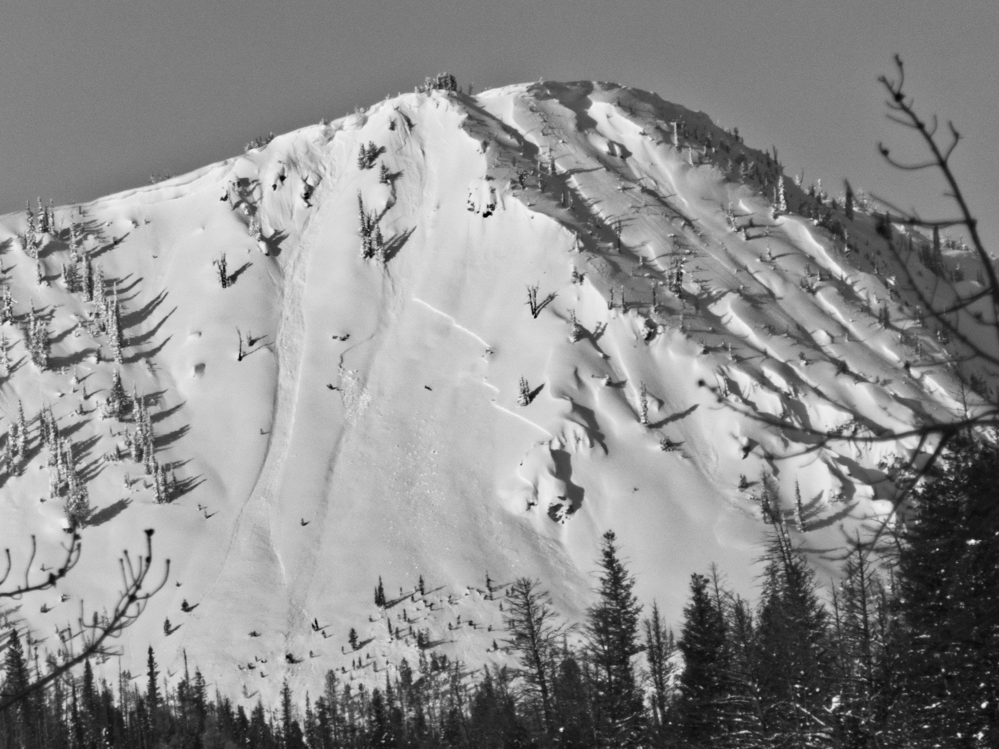 Sawtooth Avalanche Center » Avalanche Observation