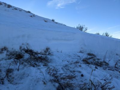 Snowpit at 8,400' on N aspect of Morgan Ridge.
