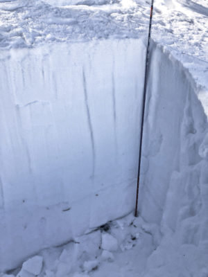 Despite the prolonged dry spell, the weak snow near the ground is showing little signs of improvement in portions of the forecast area. In this pit on Butterfield (9200', NE), the weak snow is clearly visible beneath a very dense, 3.5' thick slab. Triggering an avalanche is unlikely, but this layering does not inspire confidence.