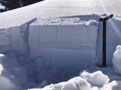 ECTP2 down 27cm (10"). The slab consisted of a thin layer of old, wind hardened snow and more recent wind blown snow. The test failed on weak facets formed during the dry spell.