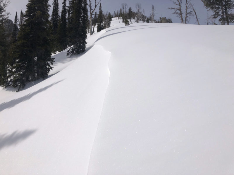 Drifting along SE-facing, mid-elevation ridgeline. The drifts were up to 2' thick but did not extend far past the ridge. The NW-facing ridge out of view to the right was scoured down to the rain crust.