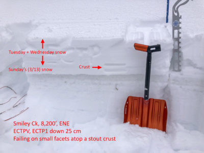 There is about 10" of settled snow here since Sunday (3/13). The weakest interface was under the snow that fell on Sunday. The weak layer is a thin layer of facets that sit above a stout crust (3/8).