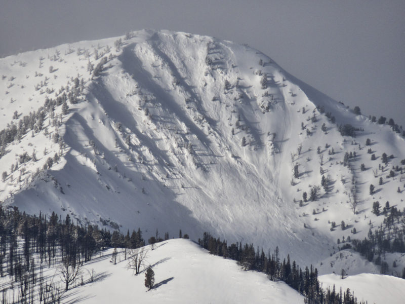This very large natural avalanche failed on the E face of Eureka Peak, near Smiley Creek. This crown is at around 10,000'.