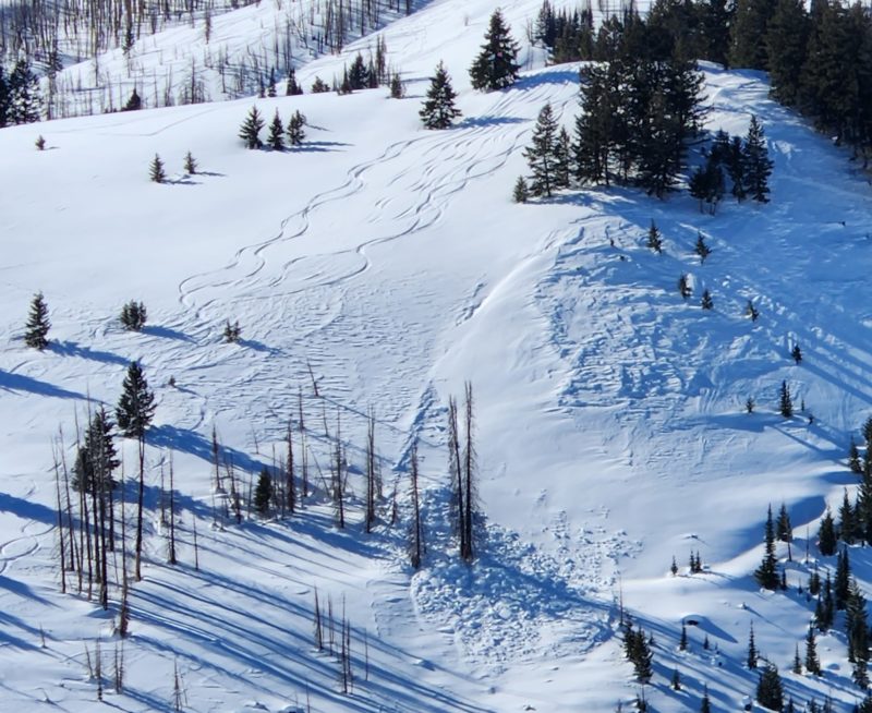This small wind slab avalanche released late last week on a NE aspect near 8200' in the E Fork of Baker Ck drainage. The photo highlights how quickly the snowpack changes from soft skiing and riding conditions to "wind-damaged" to wind slabs over short distances in exposed middle elevation terrain.  