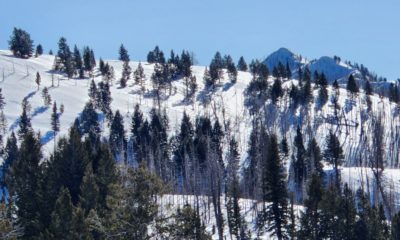 This is a bad phone photo, but much of the snow surface was an old, glimmering crust when viewed with the naked eye. WNW aspect, middle elevation, near headwaters of Fox Ck. 