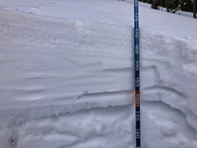 @SE, 8750': 21cm of snow since 2/5 sits atop a stout, 2cm thick crust. Below the crust are very weak facets. This layering produced ECTP1,2 below the crust.
