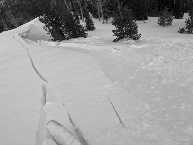 On Tuesday, Chris found sensitive wind slabs in the Northern Sawtooths. A ski cut released this wind slab that broke 40' wide and a foot thick.  Nearby wind slabs produced shooting cracks. E, 8500'.