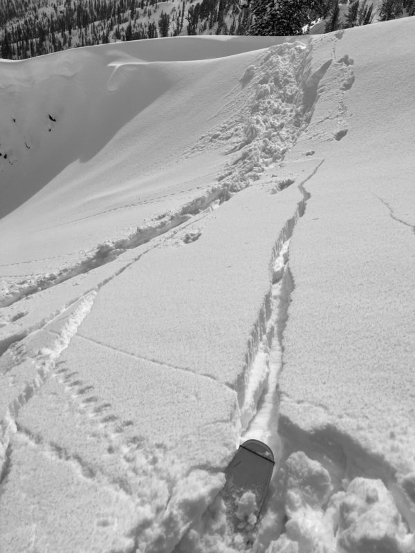 A crust + facet combo beneath recent storm snow produced cracking and collapsing in wind affected terrain. The facets were buried under a crust on steeper S facing slopes. 