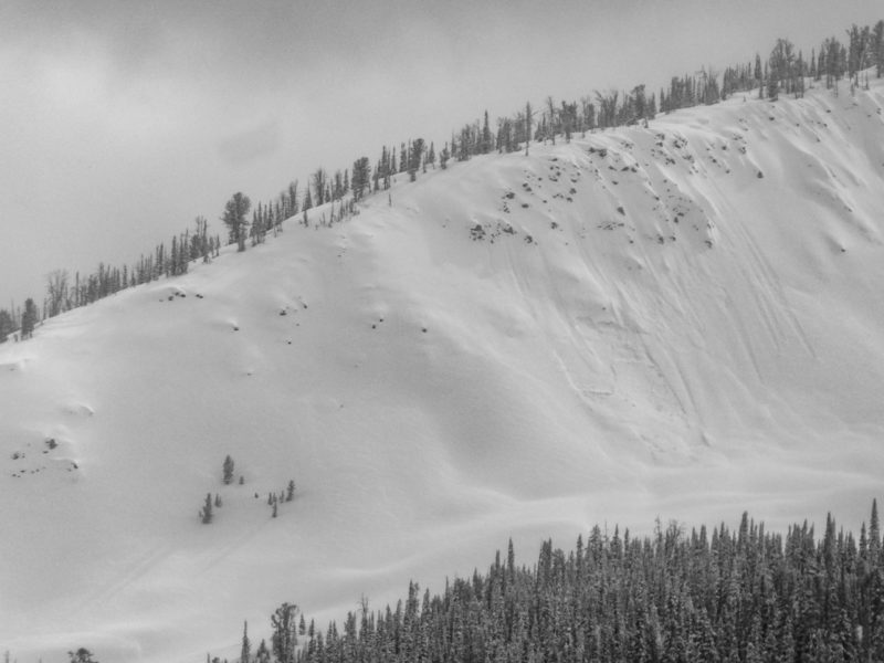 Natural loose snow avalanches triggered this small slab below a cliff band. Headwaters of the Salmon, NW @ 8,800'.