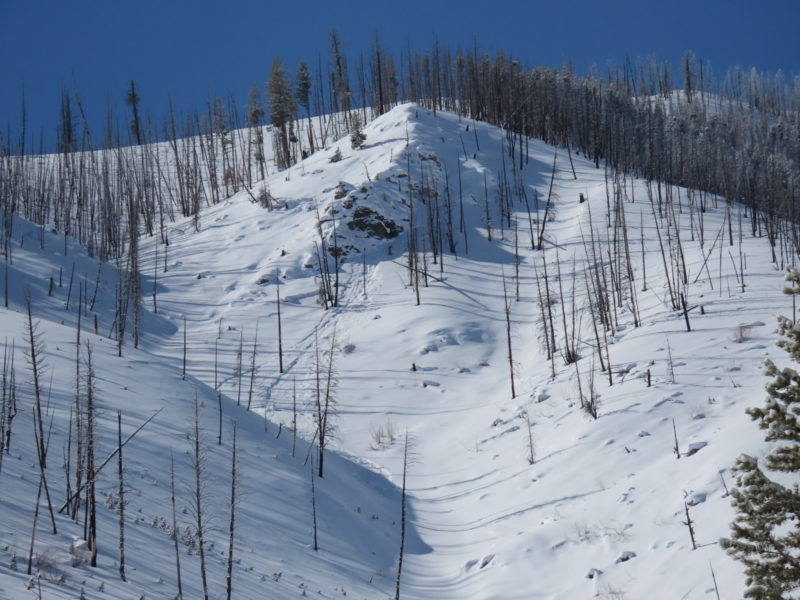 Small slab avalanche that failed below a cliff in apparently sheltered terrain. The appeared to only involve the new snow, though the debris gouged into the very weak facets underneath and entrained some additional debris. N/NE-facing slope at 7,400'.