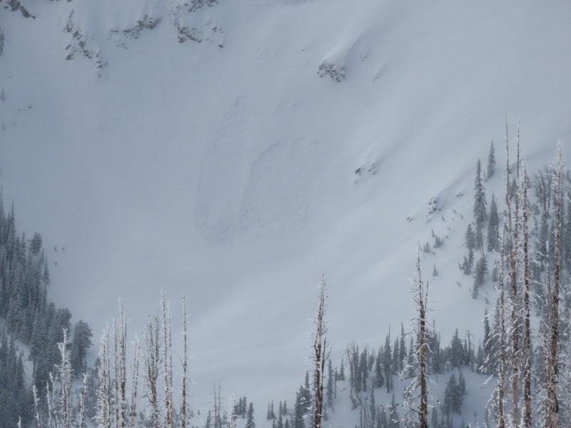 Small, mid-slope avalanches on a NE-facing slope at 8,900'.