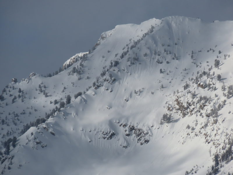 Small, widespread loose snow avalanches on Parks Peak in the Sawtooths. This slope faces SE and sits at around 9,700'.