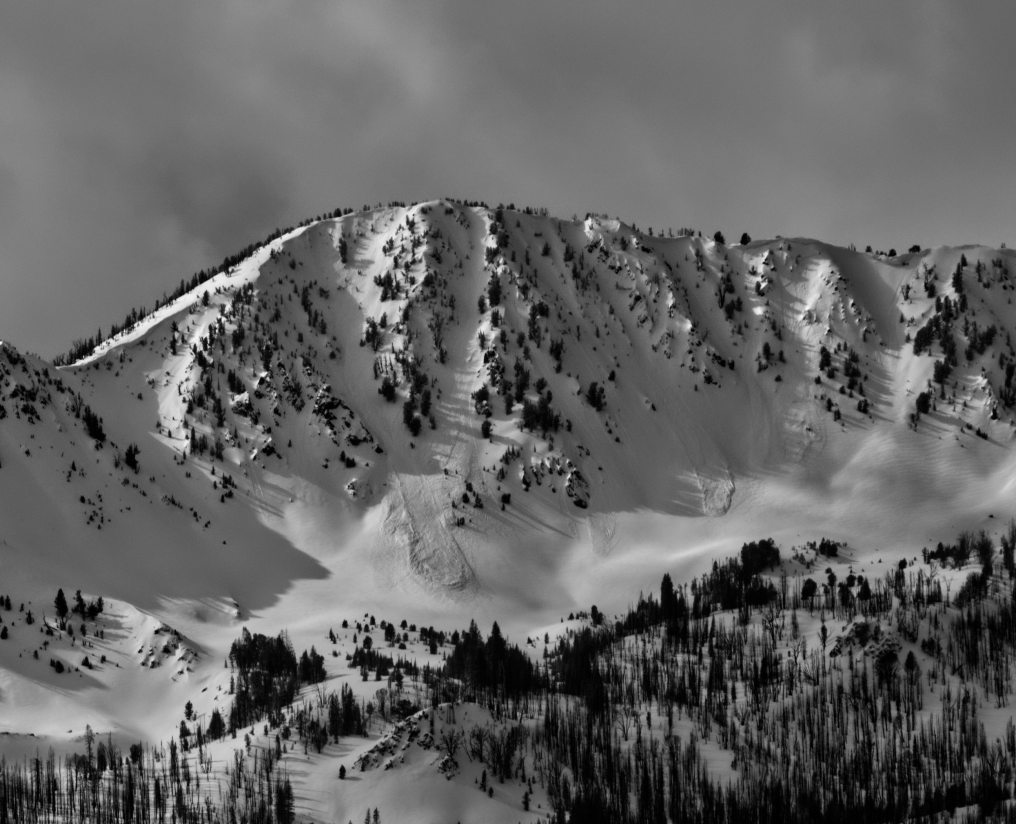 sawtooth-avalanche-center-avalanche-observation