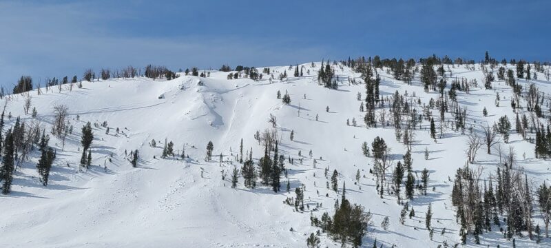 (3/18/23) This avalanche failed on a east facing slope at 9500'. The crown wraps around the entire bowl around 1600' long.