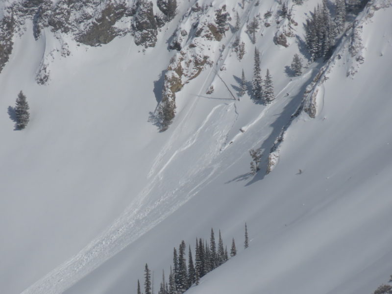This slab avalanche was observed in the Pole Creek on a N-facing slope at 9,000'. It appears to have failed in a relatively sheltered piece of terrain. As the slab overlying the layers of weak snow in the upper snowpack grows thicker, avalanches in  terrain sheltered from the wind become possible. 