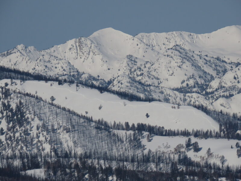 This very wide avalanche was observed in West Beaver Cr, near Smiley Creek at 8,200-8,800'. The crown is an estimated 3,500' (2/3 of a mile) wide.