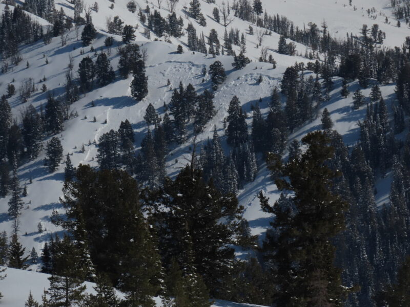 Avalanches on Mushroom Ridge, above Horse Cr.