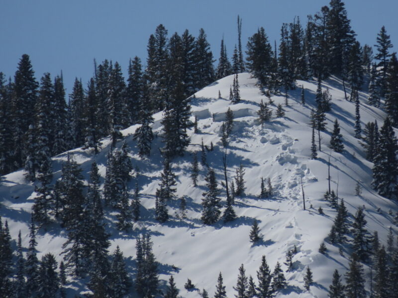 Large avalanche above Owl Creek in the Smoky Mtns.
