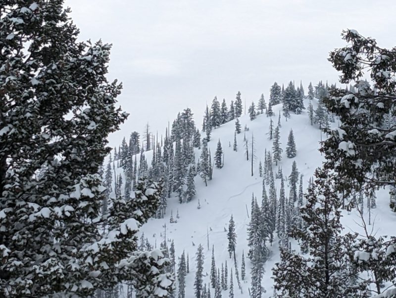Skier triggered avalanche on NE 7500' aspect off Sunset Mountain