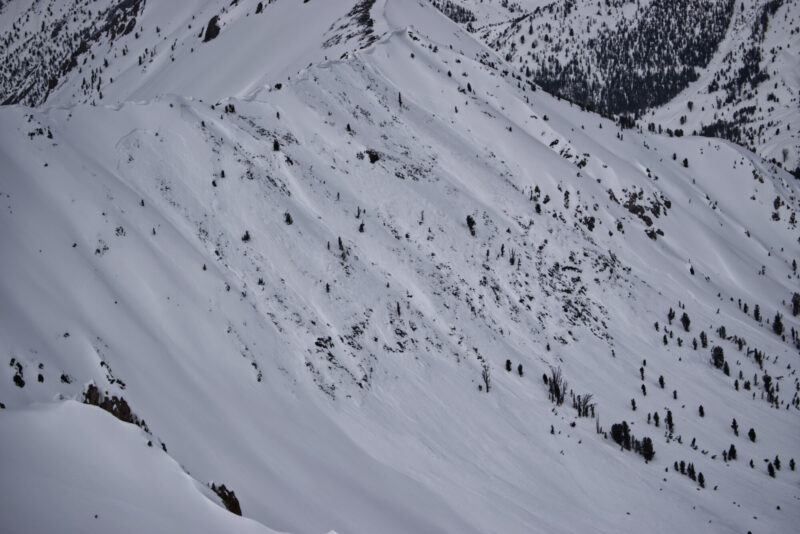 (3/18/23) Multiple crowns likely failed simultaneously on a SE slope around 9800' in Warm Springs creek. 