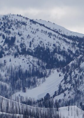 Some of these small wet loose avalanches released on Tuesday 4/11. Smiley Ck near Abe Armchair, 9100' SE. 