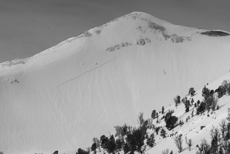 This wind slab avalanche released naturally on April 1st in the Left Fork of Fall Ck in the Pioneer Mtns (NE 10800'). Note the wind dunes and ripples on the bed surface of the slide. Tristan Pettigrew photo. 