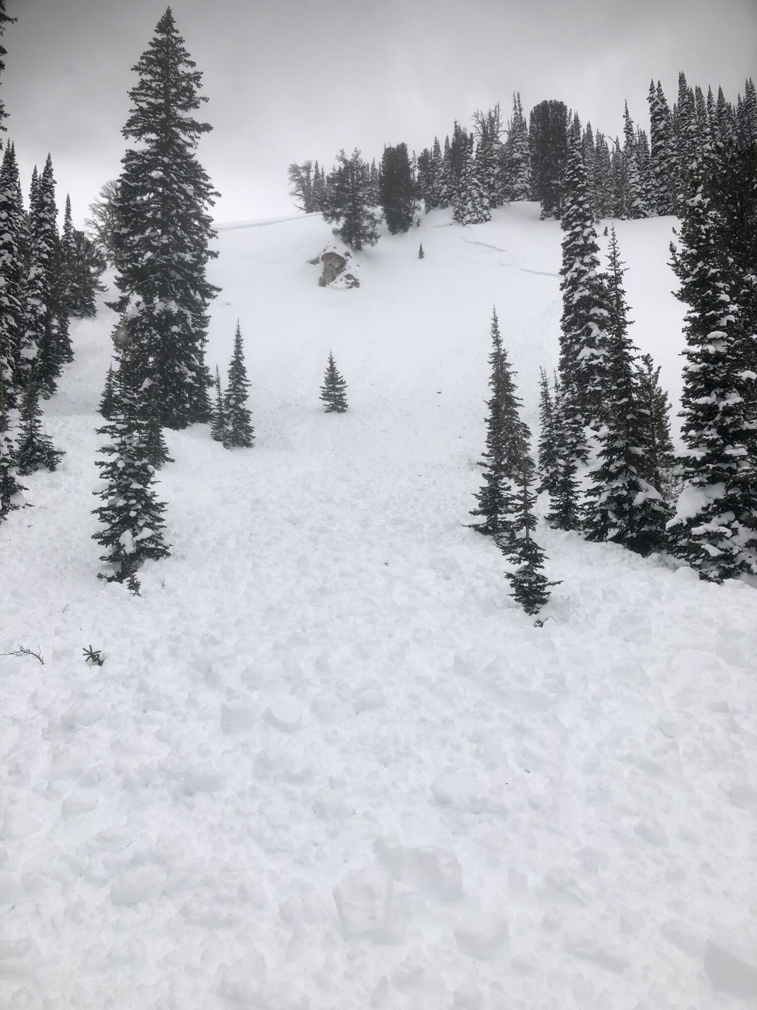 Sawtooth Avalanche Center » Avalanche Observation